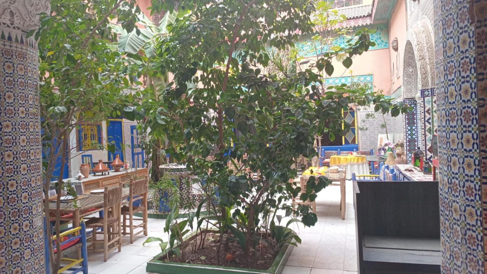 Riad Carole - Perfect For Families & Groups Marrakesh Exterior photo